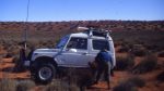 Stuck on a spinifex clump