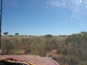 Driving the Spinifex