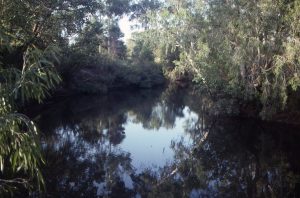 Palm Creek Billabong