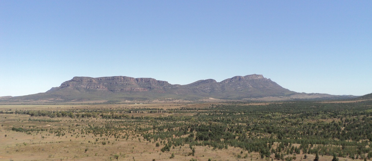 Wilpena Pound in the distance