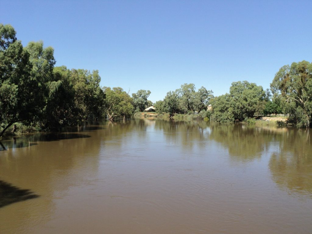 Darling River at Wilcannia