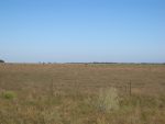 Hay Plains