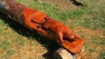 Platypus Carving at Crookwell