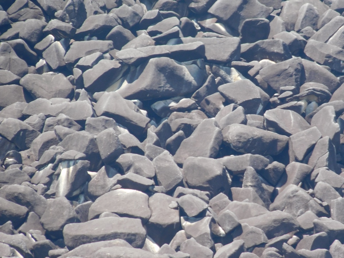 Black Mountain rocks
