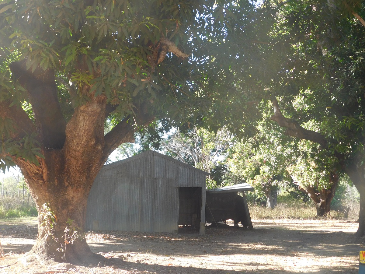 Breeza Plains Station ruin