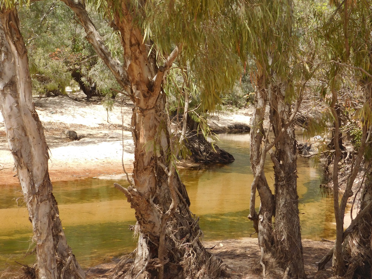 Archer River