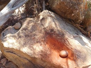 Aboriginal grinding stones
