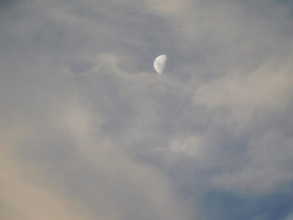 Mingary Moon